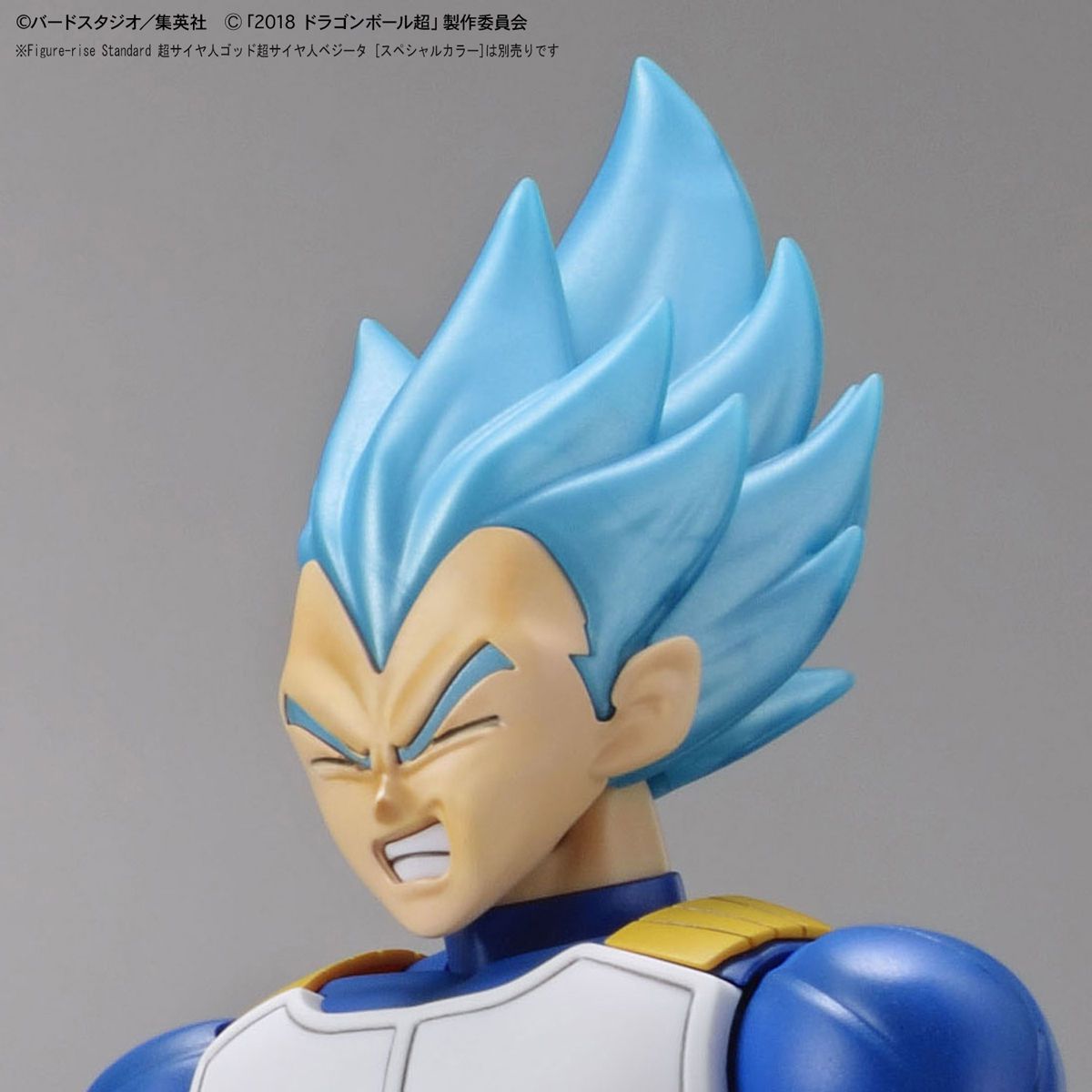 Super Saiyan Broly Full Power Figure-rise Standard - Dragon Ball Z Super Bandai | Glacier Hobbies