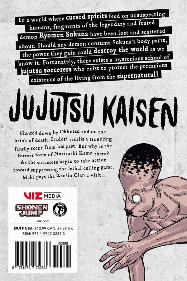 Jujutsu Kaisen Vol. 17 - Glacier Hobbies - Viz Media